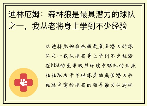 迪林厄姆：森林狼是最具潜力的球队之一，我从老将身上学到不少经验